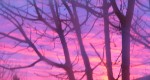 cropped-sunrise-over-burleson-0023.jpg